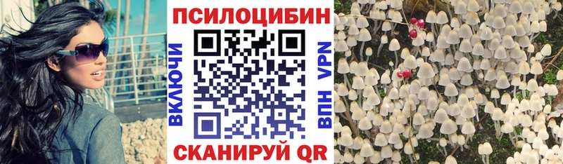 Галлюциногенные грибы Psilocybine cubensis  Берёзовский 