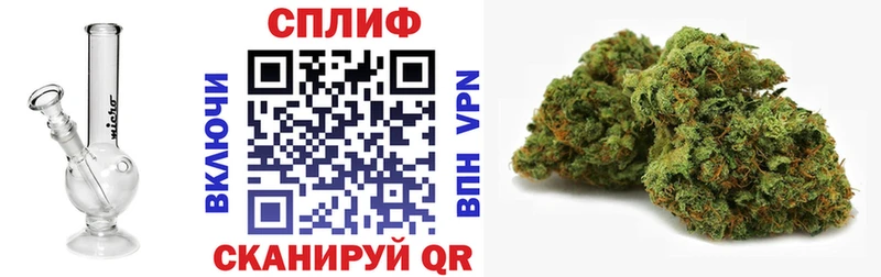 где можно купить   Берёзовский  Бошки Шишки Amnesia 